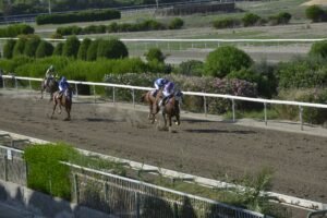 ΙΠΠΟΔΡΟΜΟΣ ΚΥΠΡΟΣ / IPPODROMOS KYPROS ΦΛΑΗ ΙΣΜΗΝΗ - 16/09/2026