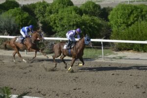 ΙΠΠΟΔΡΟΜΟΣ ΚΥΠΡΟΣ / IPPODROMOS KYPROS ΦΛΑΗ ΙΣΜΗΝΗ - 16/09/2026