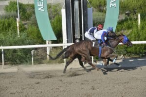 ΙΠΠΟΔΡΟΜΟΣ ΚΥΠΡΟΣ / IPPODROMOS KYPROS ΜΠΕΛ ΑΜΙ - 23/09/2026