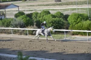 ΙΠΠΟΔΡΟΜΟΣ ΚΥΠΡΟΣ / IPPODROMOS KYPROS ΜΑΡΙΑ ΔΕ ΜΠΕΣΤ - 23/09/2026