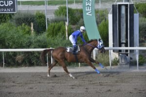ΙΠΠΟΔΡΟΜΟΣ ΚΥΠΡΟΣ / IPPODROMOS KYPROS ΦΕΡΣΤ ΣΙΟΥΤ - 13/09/2026