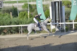 ΙΠΠΟΔΡΟΜΟΣ ΚΥΠΡΟΣ / IPPODROMOS KYPROS  ΜΑΡΙΑ ΔΕ ΜΠΕΣΤ - 23/09/2026