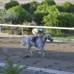 ΙΠΠΟΔΡΟΜΟΣ ΚΥΠΡΟΣ / IPPODROMOS KYPROS ΒΕΝΤΟ ΣΤΕΛΙΟΣ - 09/09/2026