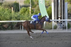 ΙΠΠΟΔΡΟΜΟΣ ΚΥΠΡΟΣ / IPPODROMOS KYPROS ΦΕΡΣΤ ΣΙΟΥΤ - 23/09/2026