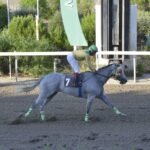 ΙΠΠΟΔΡΟΜΟΣ ΚΥΠΡΟΣ / IPPODROMOS KYPROS ΒΕΝΤΟ ΣΤΕΛΙΟΣ - 09/09/2026
