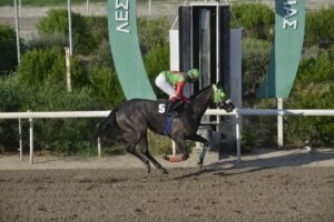 ΙΠΠΟΔΡΟΜΟΣ ΚΥΠΡΟΣ / IPPODROMOS KYPROS ΘΕΑ ΑΘΗΝΑ - 13/09/2026