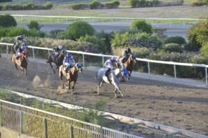 ΙΠΠΟΔΡΟΜΟΣ ΚΥΠΡΟΣ / IPPODROMOS KYPROS ΕΡΩΣ - 09/09/2026