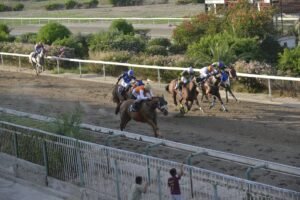 ΙΠΠΟΔΡΟΜΟΣ ΚΥΠΡΟΣ / IPPODROMOS KYPROS ΘΕΟΦΙΛΟΣ - 13/09/2026
