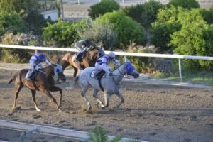 ΙΠΠΟΔΡΟΜΟΣ ΚΥΠΡΟΣ / IPPODROMOS KYPROS ΕΡΩΣ - 09/09/2026