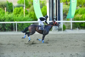 ΙΠΠΟΔΡΟΜΟΣ ΚΥΠΡΟΣ / IPPODROMOS KYPROS