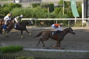 ΙΠΠΟΔΡΟΜΟΣ ΚΥΠΡΟΣ / IPPODROMOS KYPROS ΘΕΟΦΙΛΟΣ - 13/09/2026