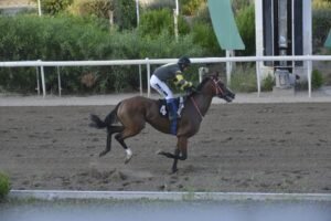 ΙΠΠΟΔΡΟΜΟΣ ΚΥΠΡΟΣ / IPPODROMOS KYPROS ΞΕΛΟΓΙΑΣΤΡΑ - 23/09/2026