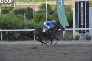 ΙΠΠΟΔΡΟΜΟΣ ΚΥΠΡΟΣ / IPPODROMOS KYPROS  ΕΛΛΑ ΜΠΕΛΑ ΜΠΙΝΓΚΟ - 16/09/2026