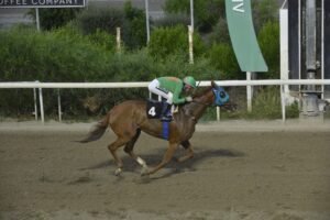ΙΠΠΟΔΡΟΜΟΣ ΚΥΠΡΟΣ / IPPODROMOS KYPROS ΧΑΒΑΗ ΛΑΪΟΝ - 16/09/2026