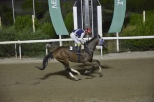 ΙΠΠΟΔΡΟΜΟΣ ΚΥΠΡΟΣ / IPPODROMOS KYPROS ΕΞΚΑΛΙΜΠΕΡ - 16/09/2026
