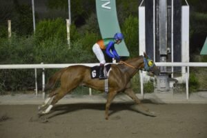 ΙΠΠΟΔΡΟΜΟΣ ΚΥΠΡΟΣ / IPPODROMOS KYPROS ΤΑΡΑΣ ΝΤΟΥΚΑ - 23/09/2026
