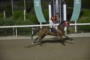 ΙΠΠΟΔΡΟΜΟΣ ΚΥΠΡΟΣ / IPPODROMOS KYPROS ΑΙΜΙΛΙΑΝΟΣ - 13/09/2026