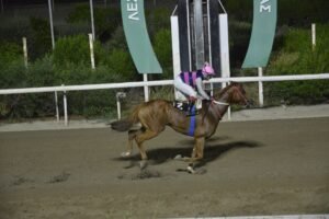 ΙΠΠΟΔΡΟΜΟΣ ΚΥΠΡΟΣ / IPPODROMOS KYPROS ΤΑΡΑΣ ΚΙΓΚ - 09/09/2026