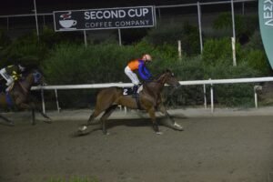 ΙΠΠΟΔΡΟΜΟΣ ΚΥΠΡΟΣ / IPPODROMOS KYPROS ΚΑΨΙΔΕΡΟΣ - 16/09/2026