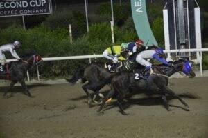 ΙΠΠΟΔΡΟΜΟΣ ΚΥΠΡΟΣ / IPPODROMOS KYPROS ΜΑΡΟΚΚΑΝ ΡΟΟΥΖ - 09/09/2026