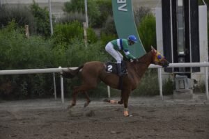 ΙΠΠΟΔΡΟΜΟΣ ΚΥΠΡΟΣ / IPPODROMOS KYPROS ΜΕΛΣ ΡΟΚΕΤ - 14/10/2026
