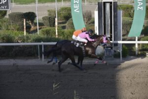 ΙΠΠΟΔΡΟΜΟΣ ΚΥΠΡΟΣ / IPPODROMOS KYPROS ΠΟΤΕΡΧΕΝΤ - 25/10/2026