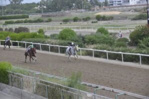 ΙΠΠΟΔΡΟΜΟΣ ΚΥΠΡΟΣ / IPPODROMOS KYPROS ΜΑΡΙΑ ΔΕ ΜΠΕΣΤ - 07/10/2026