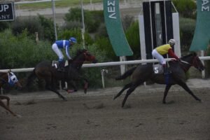 ΙΠΠΟΔΡΟΜΟΣ ΚΥΠΡΟΣ / IPPODROMOS KYPROS ΧΕΛΕΝ ΠΟΠΗ - 14/10/2026
