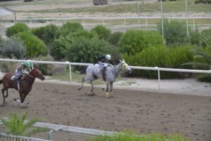 ΙΠΠΟΔΡΟΜΟΣ ΚΥΠΡΟΣ / IPPODROMOS KYPROS ΜΑΡΙΑ ΔΕ ΜΠΕΣΤ - 07/10/2026