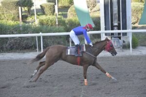 ΙΠΠΟΔΡΟΜΟΣ ΚΥΠΡΟΣ / IPPODROMOS KYPROS ΓΚΟΛΝΤΕΝ ΣΠΟΤ - 18/10/2026
