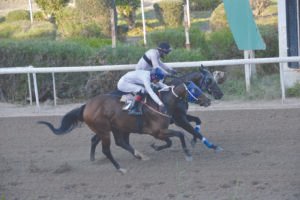 ΙΠΠΟΔΡΟΜΟΣ ΚΥΠΡΟΣ / IPPODROMOS KYPROS ΠΟΣΤΜΑΝ - 21/10/2026