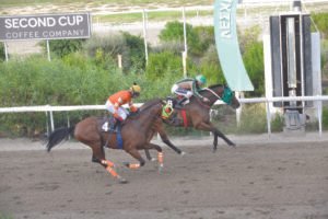 ΙΠΠΟΔΡΟΜΟΣ ΚΥΠΡΟΣ / IPPODROMOS KYPROS ΡΑΜΣΗΣ - 11/10/2026