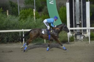 ΙΠΠΟΔΡΟΜΟΣ ΚΥΠΡΟΣ / IPPODROMOS KYPROS ΜΑ ΜΠΕΪΚΕΡ - 14/10/2026