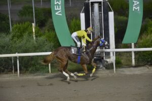 ΙΠΠΟΔΡΟΜΟΣ ΚΥΠΡΟΣ / IPPODROMOS KYPROS ΑΡΧΟΝΤΑΣ - 14/10/2026