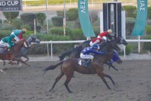 ΙΠΠΟΔΡΟΜΟΣ ΚΥΠΡΟΣ / IPPODROMOS KYPROS ΑΡΝΟΣ - 21/10/2026