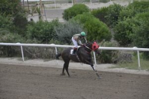 ΙΠΠΟΔΡΟΜΟΣ ΚΥΠΡΟΣ / IPPODROMOS KYPROS ΧΑΡΗ ΠΟΤΤΕΡ - 07/10/2026