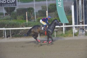 ΙΠΠΟΔΡΟΜΟΣ ΚΥΠΡΟΣ / IPPODROMOS KYPROS ΒΕΝΣΕΡΕΜΟΣ - 28/10/2026