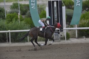 ΙΠΠΟΔΡΟΜΟΣ ΚΥΠΡΟΣ / IPPODROMOS KYPROS ΧΑΡΗ ΠΟΤΤΕΡ - 07/10/2026