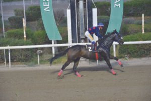 ΙΠΠΟΔΡΟΜΟΣ ΚΥΠΡΟΣ / IPPODROMOS KYPROS ΒΕΝΣΕΡΕΜΟΣ - 28/10/2026