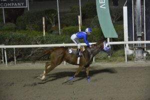 ΙΠΠΟΔΡΟΜΟΣ ΚΥΠΡΟΣ / IPPODROMOS KYPROS ΦΕΡΣΤ ΣΙΟΥΤ - 25/10/2026