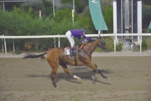 ΙΠΠΟΔΡΟΜΟΣ ΚΥΠΡΟΣ / IPPODROMOS KYPROS ΓΙΑΣΕΜΙΝΙΟ - 11/10/2026