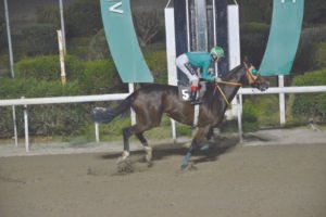 ΙΠΠΟΔΡΟΜΟΣ ΚΥΠΡΟΣ / IPPODROMOS KYPROS ΧΑΒΑΗ ΜΑΤΖΕΣΤΙΚ - 21/10/2026