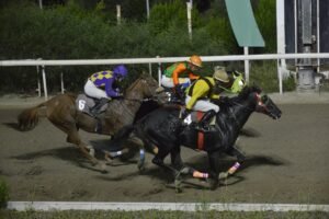 ΙΠΠΟΔΡΟΜΟΣ ΚΥΠΡΟΣ / IPPODROMOS KYPROS ΚΙΜΠΑ - 07/10/2026