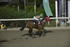 ΙΠΠΟΔΡΟΜΟΣ ΚΥΠΡΟΣ / IPPODROMOS KYPROS ΕΡΟΛ - 07/10/2026