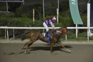 ΙΠΠΟΔΡΟΜΟΣ ΚΥΠΡΟΣ / IPPODROMOS KYPROS ΤΑΡΑΣ ΚΙΓΚ - 18/10/2026