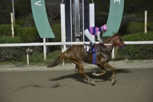 ΙΠΠΟΔΡΟΜΟΣ ΚΥΠΡΟΣ / IPPODROMOS KYPROS ΤΑΡΑΣ ΚΙΓΚ - 18/10/2026