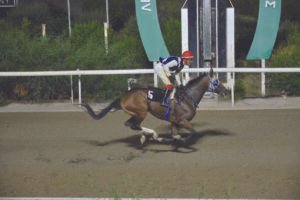ΙΠΠΟΔΡΟΜΟΣ ΚΥΠΡΟΣ / IPPODROMOS KYPROS ΕΞΑΚΛΙΜΠΕΡ - 11/10/2026