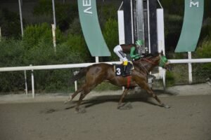 ΙΠΠΟΔΡΟΜΟΣ ΚΥΠΡΟΣ / IPPODROMOS KYPROS ΑΧΕΡΑ - 07/10/2026